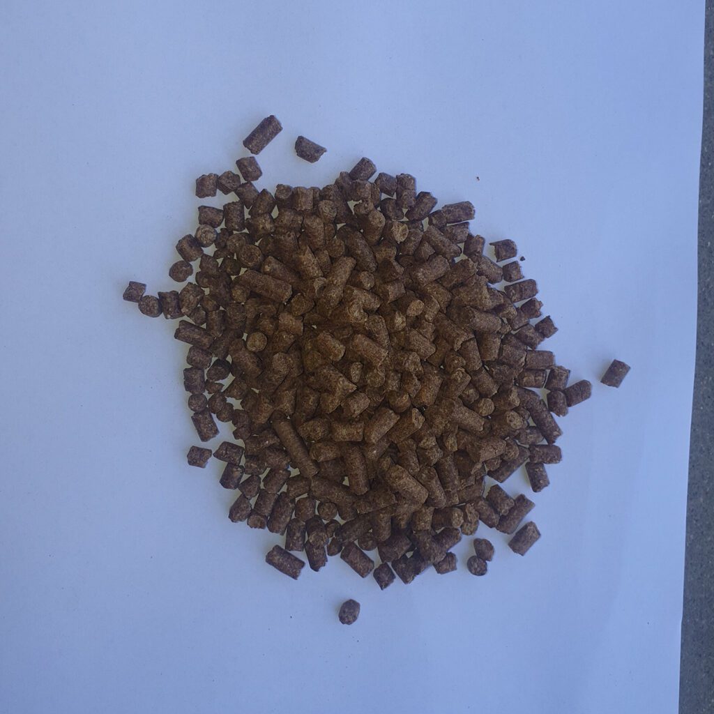 Available in bulk, 1 tonne bags and 25kg bags

We are excited to be able to offer our clients DDG Pellets for supplementary feeding.

These pellets are ideal for creep feeding and are a great protein source for feedlot’s.

They can also be fed to horses and sheep as they are a very palatable  pellet.